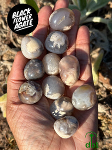 Black Flower Agate Tumblestones