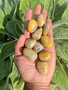 Bumblebee Jasper Tumblestones