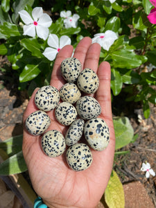 Dalmatian Jasper Tumblestones