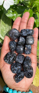 Indigo Gabbro (Mystic Merlinite) Tumblestones