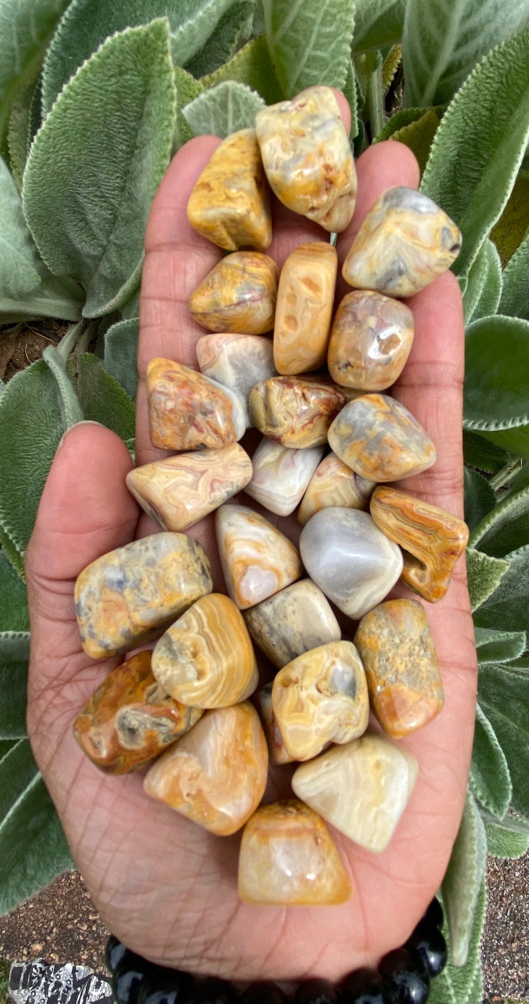Yellow Crazy Lace Agate Tumbelstones