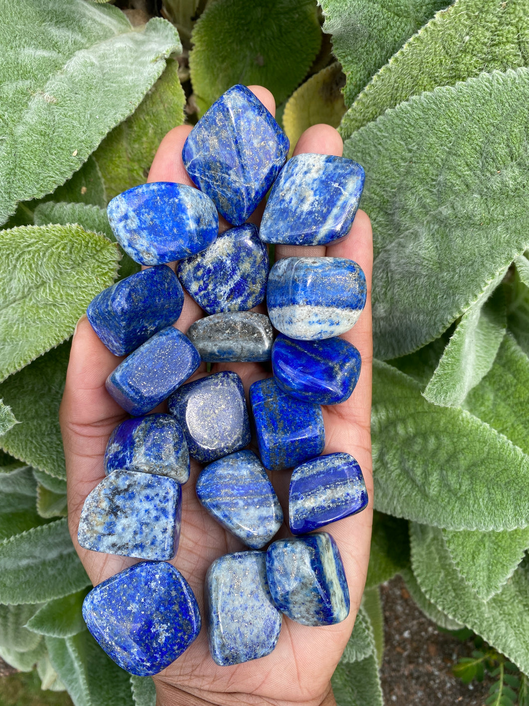 Lapis Lazuli Large (40mm) Tumblestones