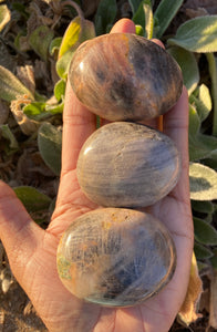 Black Moonstone (Larkivite) Palmstones