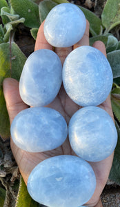 Blue Calcite Palmstones