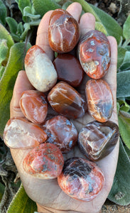 Fire Red Agate Tumblestones