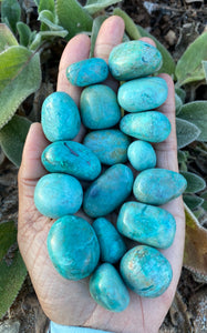Chrysocolla Tumblestones