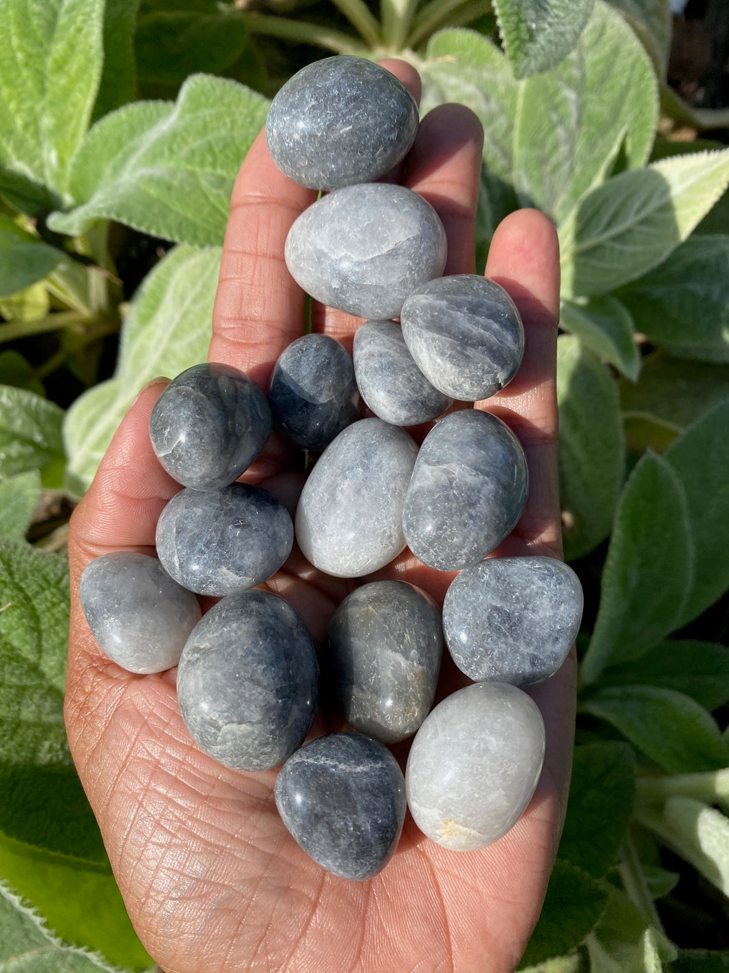 Gray Quartz Tumblestones
