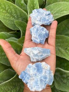 Blue Calcite Raw Chunks