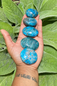 Blue Apatite Palm Stone