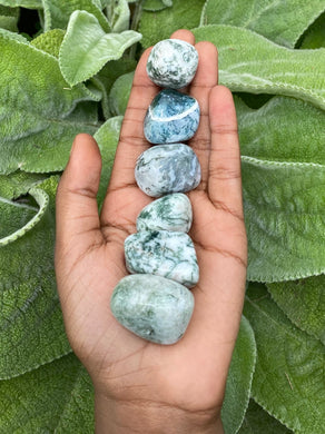 Tree Agate Medium Tumblestone