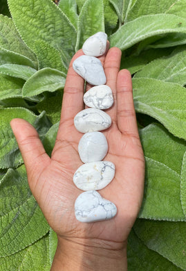 South African Howlite Medium Tumblestone