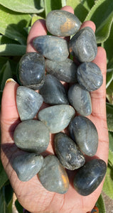 Labradorite Medium 20-30mm Tumblestones