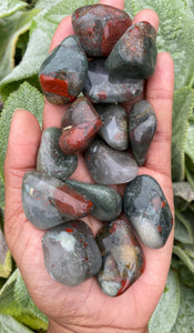 Bloodstone Extra Large 40-50 mm Tumblestones