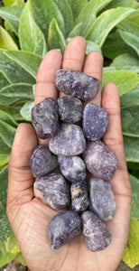 Lepidolite Small Tumblestones