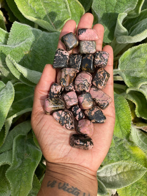 Rhodonite Small Tumblestones