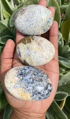 Dendritic Opal Palmstones