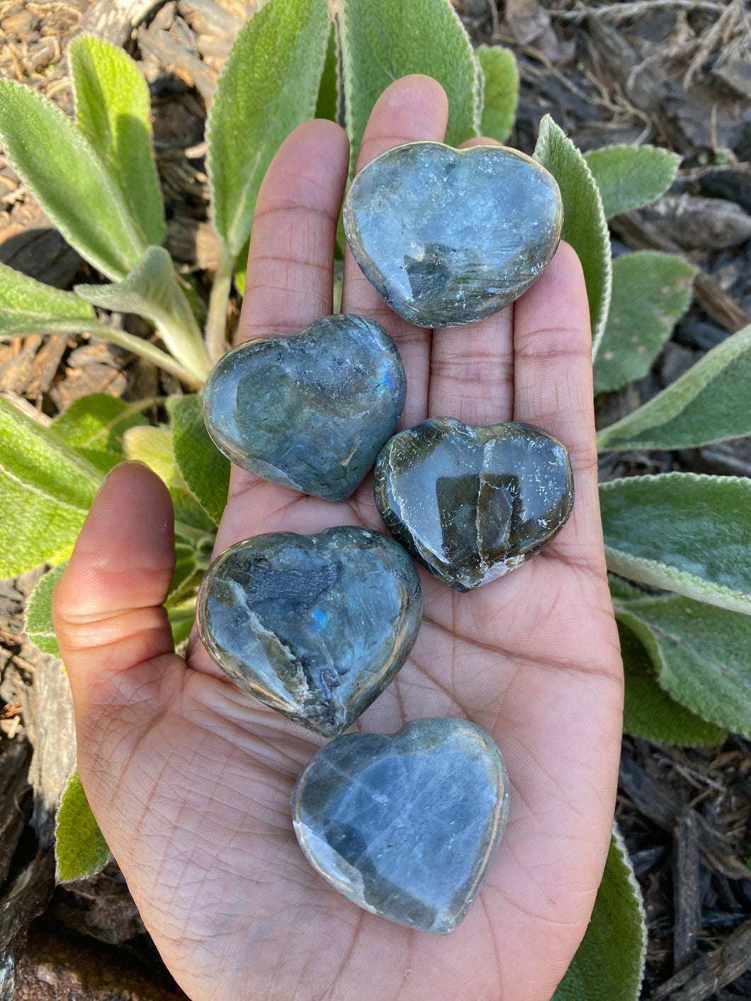 Labradorite Heart Shaped Palmstones